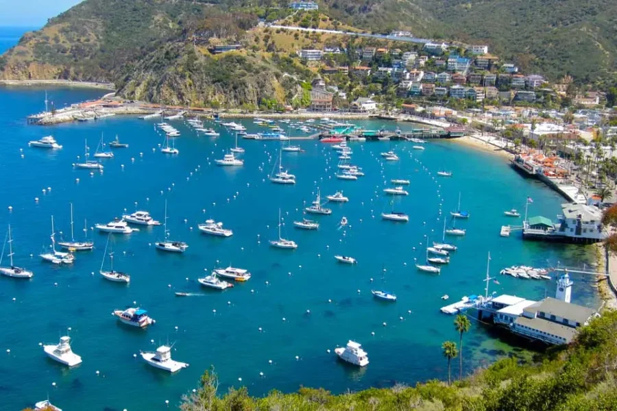 Programa Nefertiti: 15/9